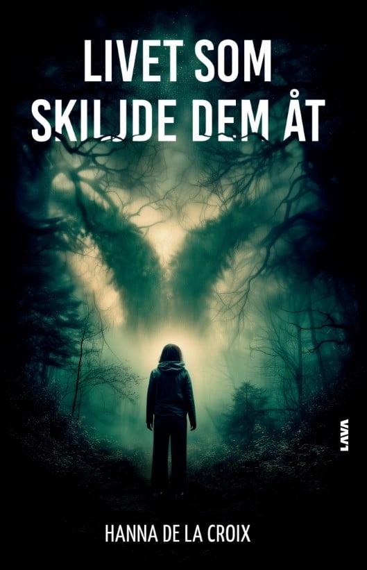 Livet som skiljde dem åt; Hanna de la Croix; 2026