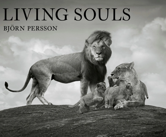 Living souls; Björn Persson; 2024