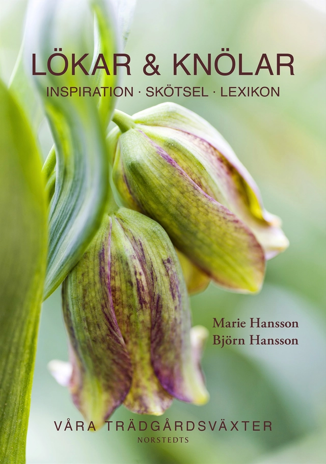 Lökar & knölar; Marie Hansson, Björn Hansson; 2013