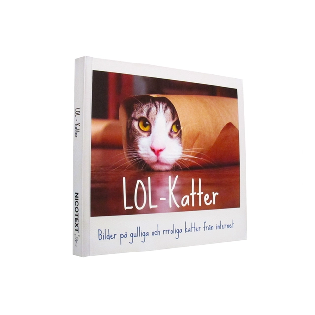 LOL-katter : bilder på gulliga och rrroliga katter från internet; 2013