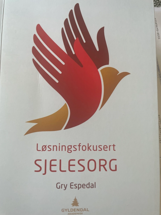 Løsningsfokusert sjelesorg; Gry Espedal