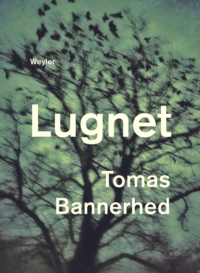Lugnet; Tomas Bannerhed; 2018