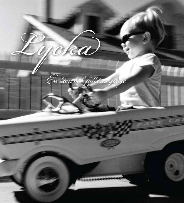 Lycka : en liten bok fylld av glädje; Nils Karlander; 2011