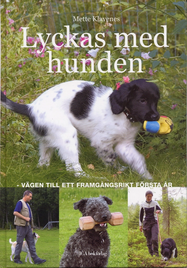 Lyckas med hunden : Vägen till ett framgångsrikt första år; Mette Klavenes; 2005