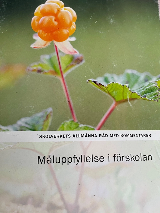 Måluppfyllelse i förskolan; Sverige. Skolverket, Sverige. Skolöverstyrelsen
(tidigare namn), Sverige. Skolöverstyrelsen, Sverige. Myndigheten för skolutveckling; 2017