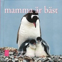 Mamma är bäst : inspirerande ord om att vara mamma; Si¬n Keogh; 2008