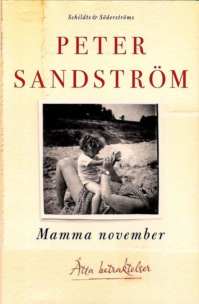 Mamma november : åtta betraktelser; Peter Sandström; 2018
