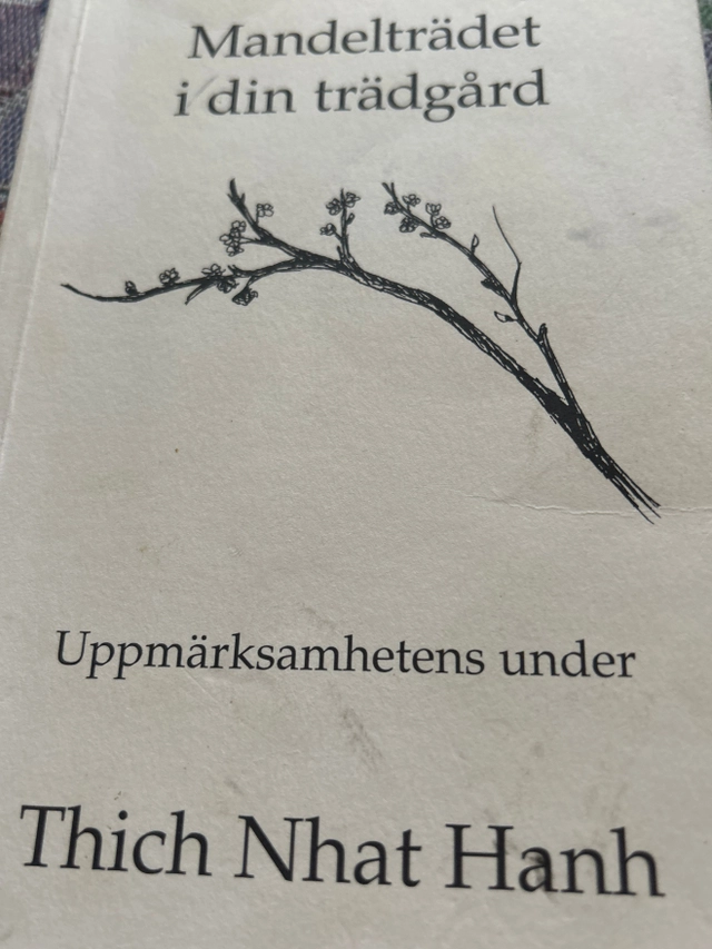Mandelträdet i din trädgård : uppmärksamhetens under; Thích Nhât Hạnh; 2002