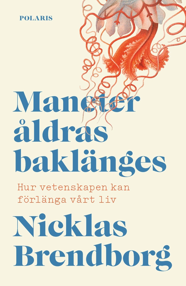 Maneter åldras baklänges; Nicklas Brendborg; 2021