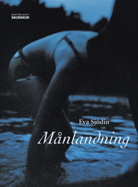 Månlandning; Eva Sjödin; 2009
