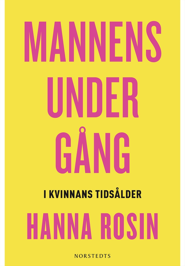 Mannens undergång : i kvinnans tidsålder; Hanna Rosin; 2013