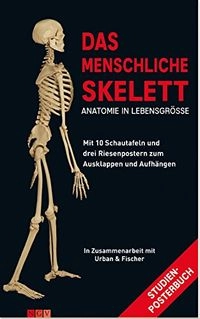 Människans skellet; I samarbete med Urban & Fisher; 2018
