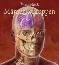 Människokroppen; Linda Calabresi; 2008