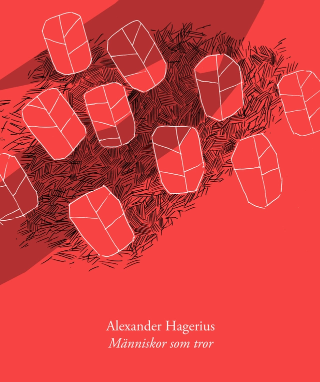 Människor som tror; Alexander Hagerius; 2009