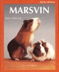 Marsvin; Katrin Behrend; 2002