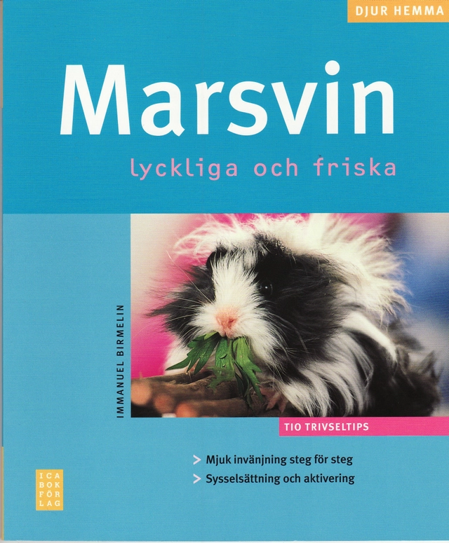 Marsvin; Immanuel Brimelin; 2004