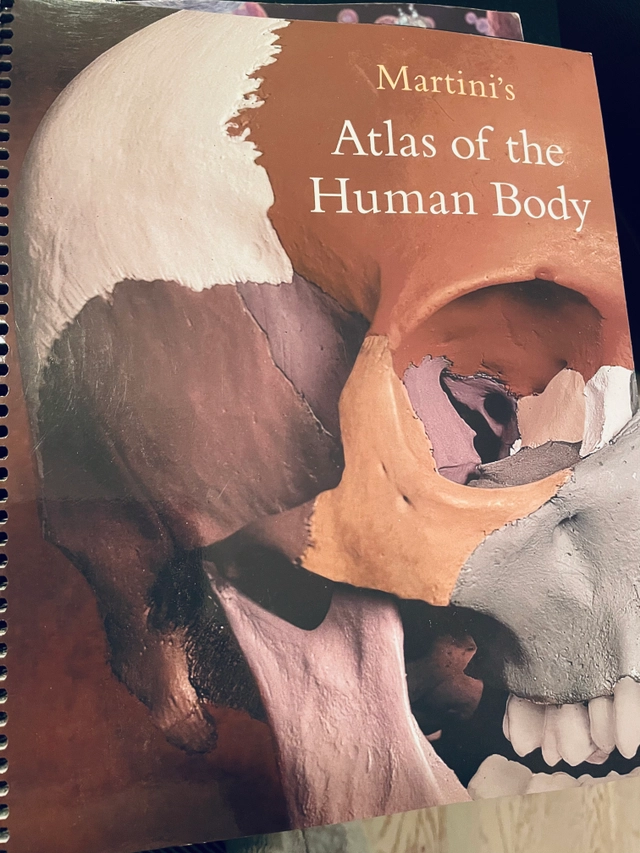 Martini's atlas of the human body; Frederic Martini; 2005