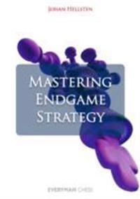 Mastering endgame strategy; Johan Hellsten; 2013