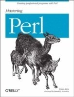 Mastering Perl; Brian D. Foy; 2007