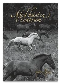 Med hästen i centrum; Sandra von Malottke; 2014