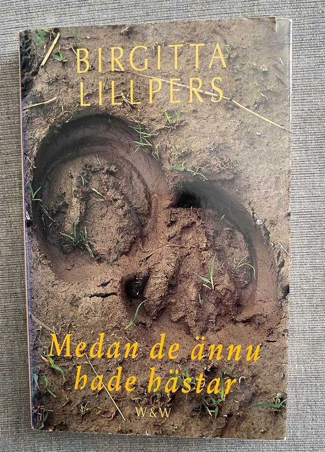 Medan de ännu hade hästar; Birgitta Lillpers; 1993
