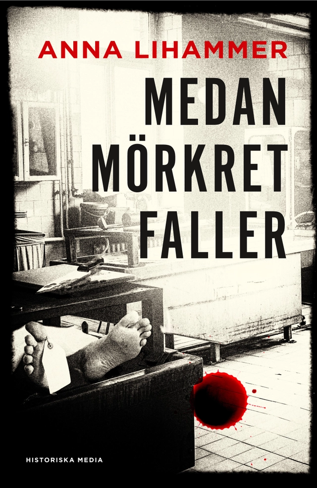 Medan mörkret faller; Anna Lihammer; 2014