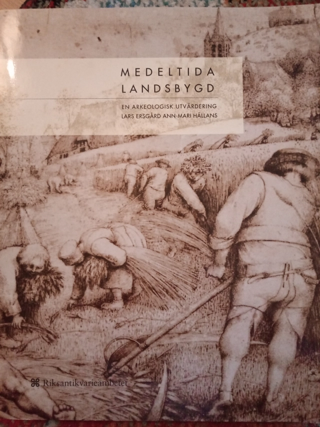 Medeltida landsbygd : en arkeologisk utvärdering : forskningsöversikt, problemområden, katalog; Lars Ersgård; 1996