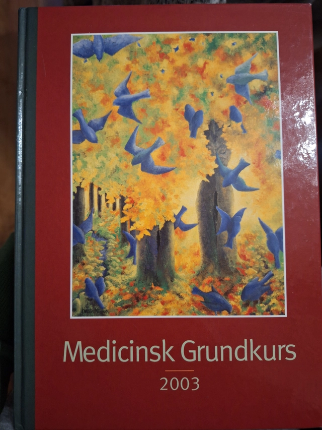 Medicinsk grundkurs 2000; Kenneth Arvidsson; 2000