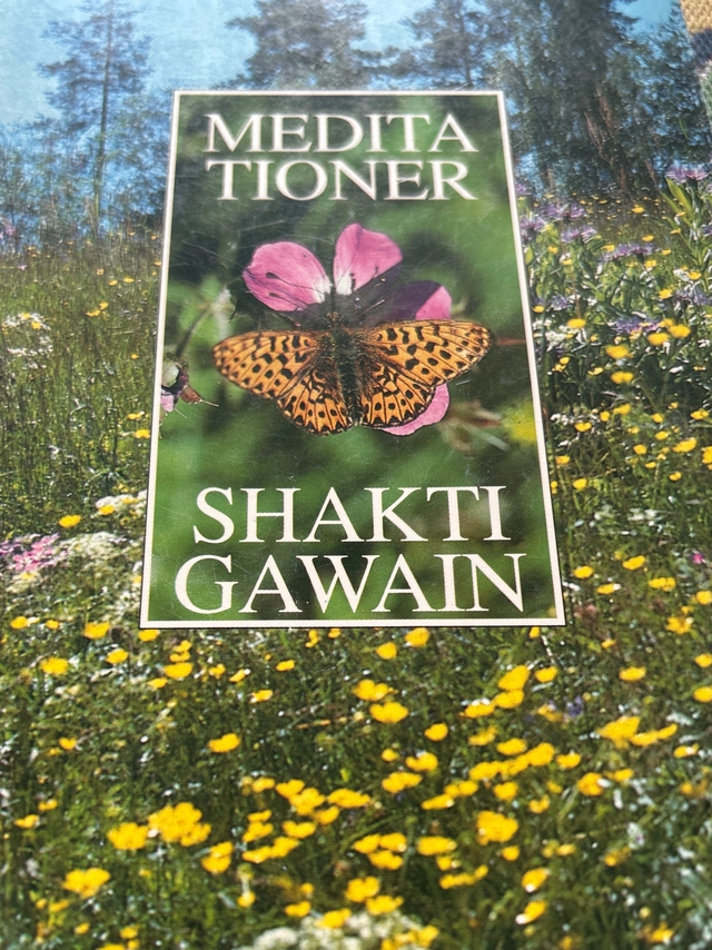 Meditationer : visualiserings- och meditationsövningar som berikar ditt liv; Shakti Gawain; 1991