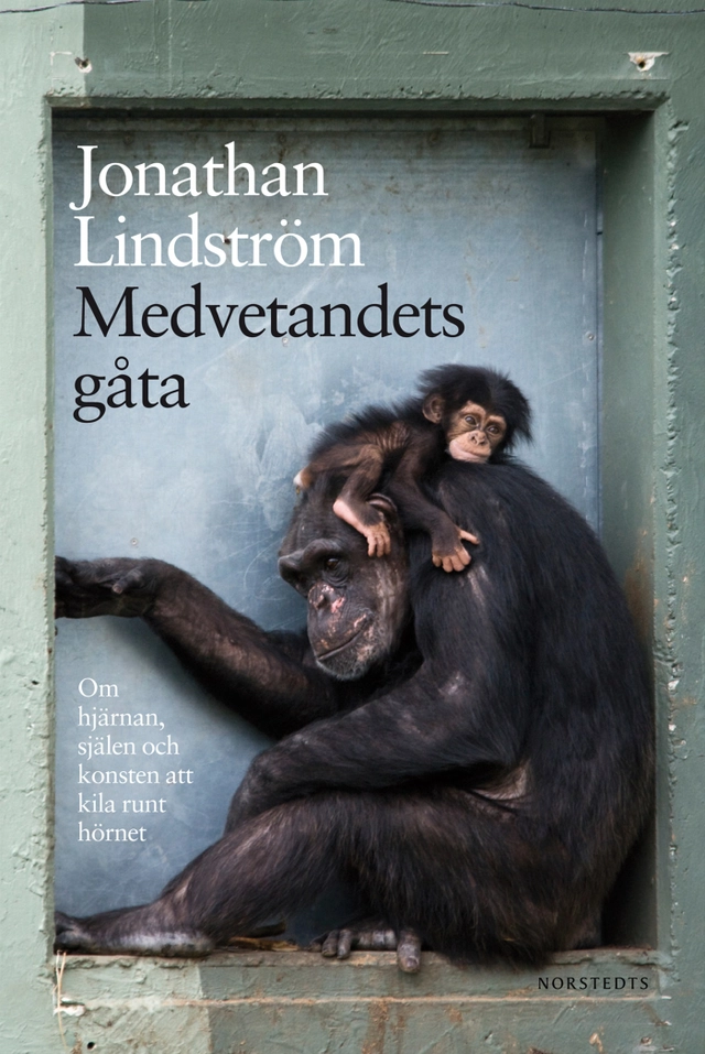 Medvetandets gåta : om hjärnan, själen och konsten att kila runt hörnet; Jonathan Lindström; 2013