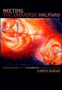 Meeting the universe halfway : quantum physics and the entanglement of matter and meaning; Karen Michelle Barad; 2007