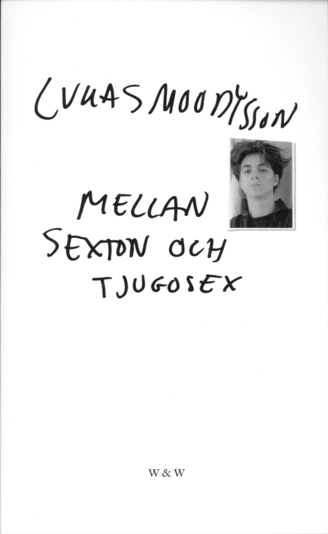Mellan sexton och tjugosex; Lukas Moodysson; 2001