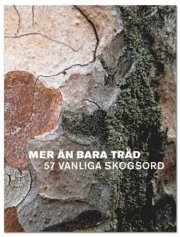 Mer än bara träd : 57 vanliga skogsord; Carl Henrik Palmér; 2010