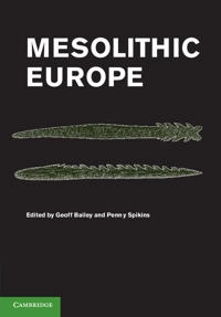 Mesolithic Europe; Geoff Bailey, Penny Spikins; 2008