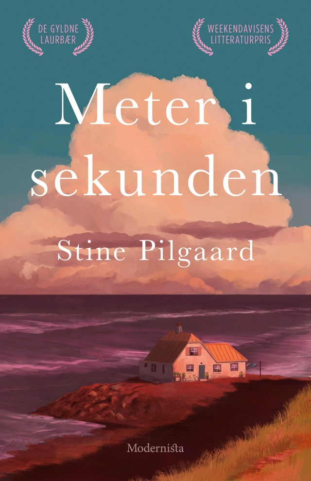 Meter i sekunden; Stine Pilgaard; 2021
