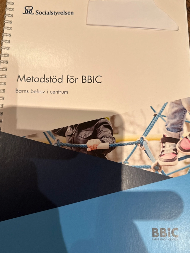 Metodstöd för BBIC : barns behov i centrum; Sverige. Socialstyrelsen, Sverige. Medicinalstyrelsen; 2015