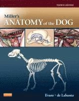 Miller's anatomy of the dog; Howard E. Evans, Alexander deLahunta, Malcolm E. Miller; 2013