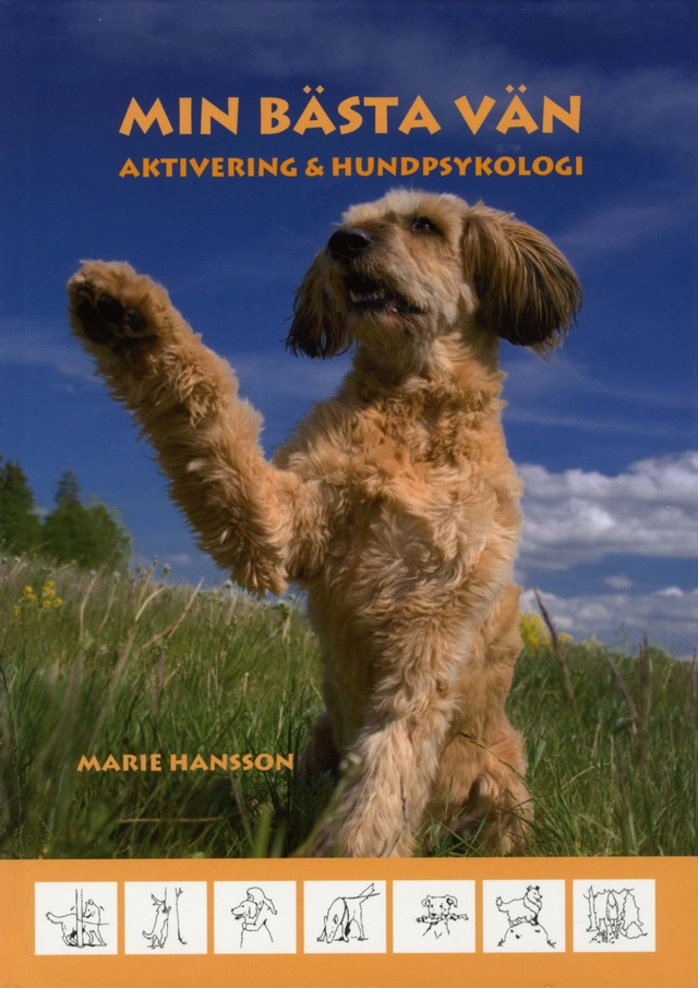Min bästa vän : aktivering & hundpsykologi; Marie Hansson; 2010