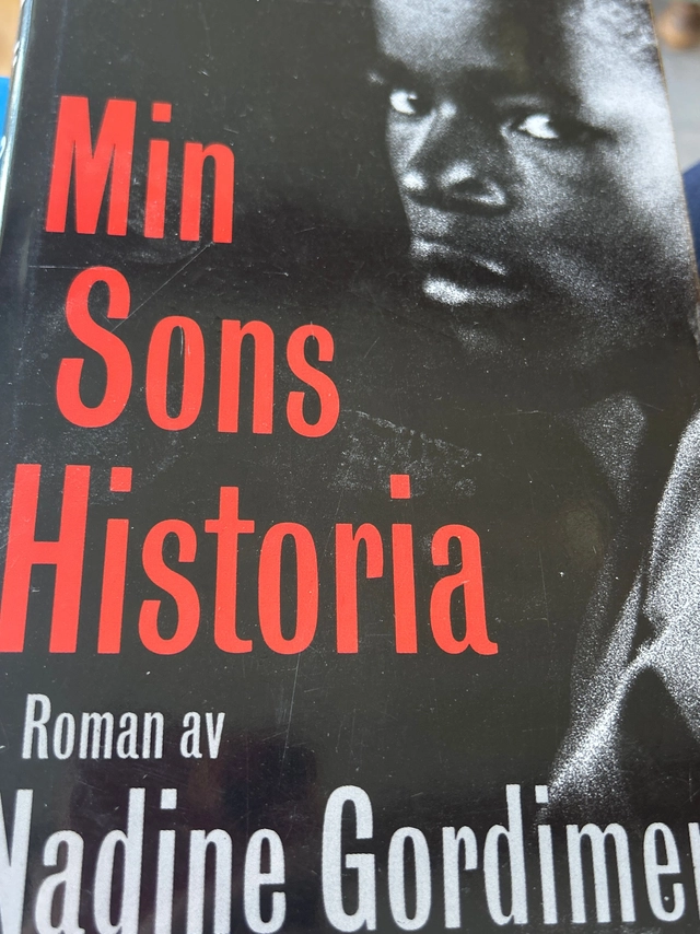 Min sons historia : [roman]; Nadine Gordimer; 1992