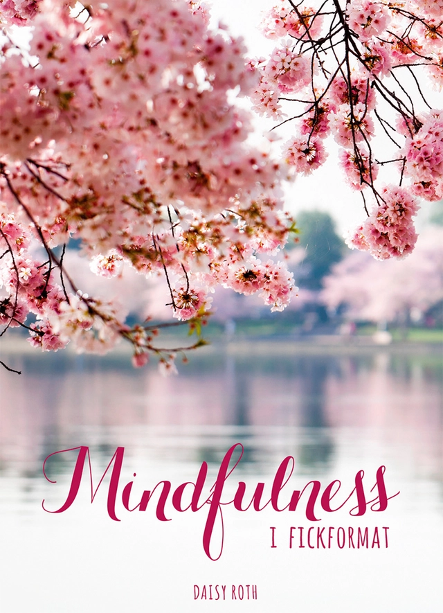 Mindfulness i fickformat; Daisy Roth; 2019