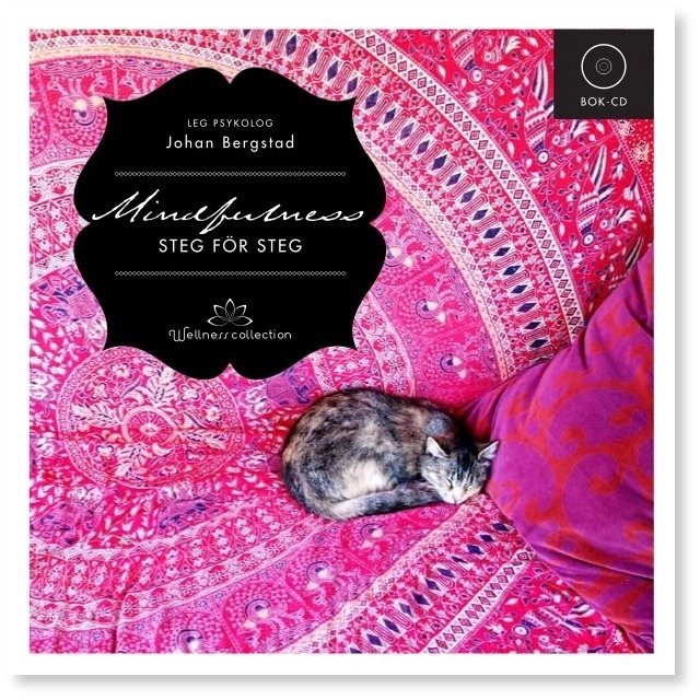 Mindfulness steg för steg; Johan Bergstad; 2009