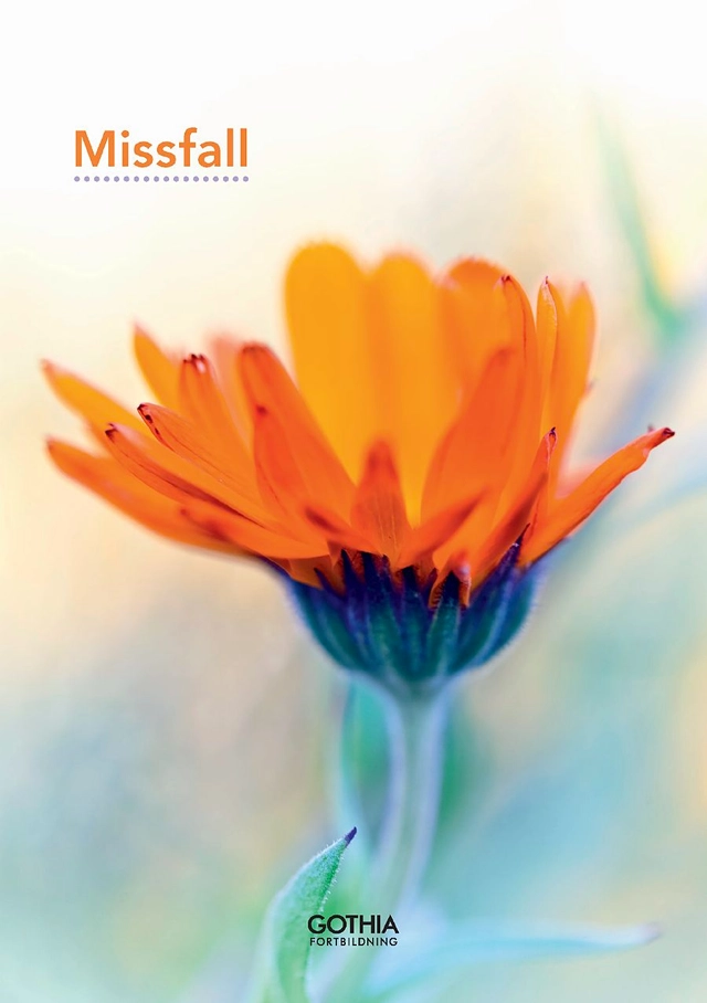 Missfall; Lena Elg; 2011