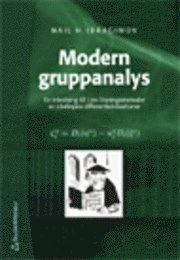 Modern gruppanalys; Nail H Ibragimov; 2002