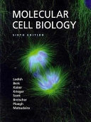 Molecular cell biology; Harvey Lodish; 2008