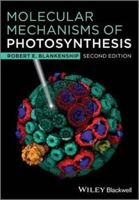 Molecular Mechanisms of Photosynthesis; Robert E; 2014