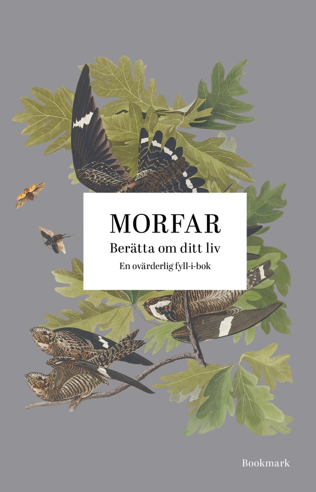Morfar : berätta om ditt liv; Josefine Bergkvist, Louise Eriksson; 2024