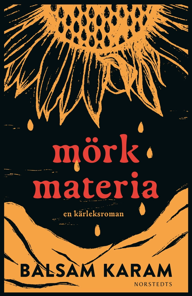 Mörk materia : En kärleksroman; Balsam Karam; 2025