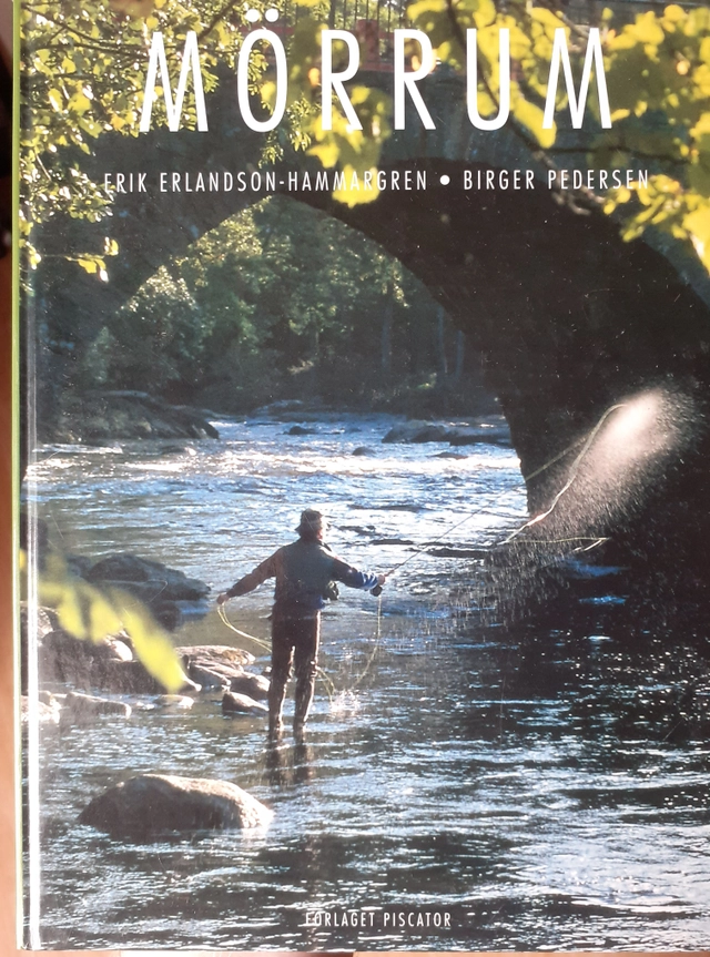 Mörrum; Erik Erlandson-Hammargren; 1998