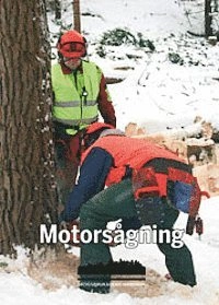 Motorsågning; Royne Andersson; 2013