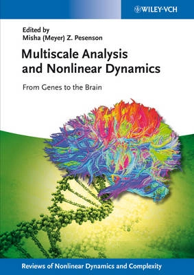 Multiscale Analysis and Nonlinear Dynamics; Misha Meyer Pesenson; 2013